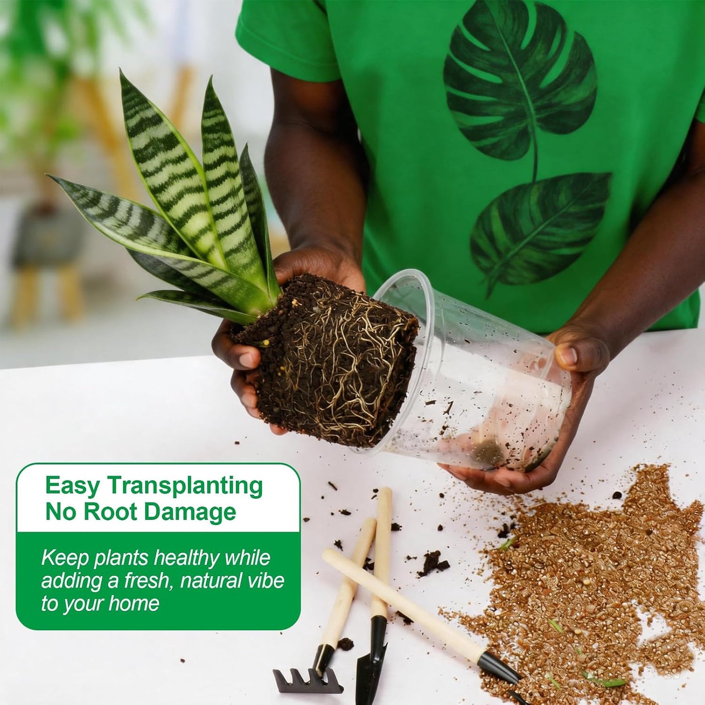 6in Clear Nursery Pots - 15 Pack