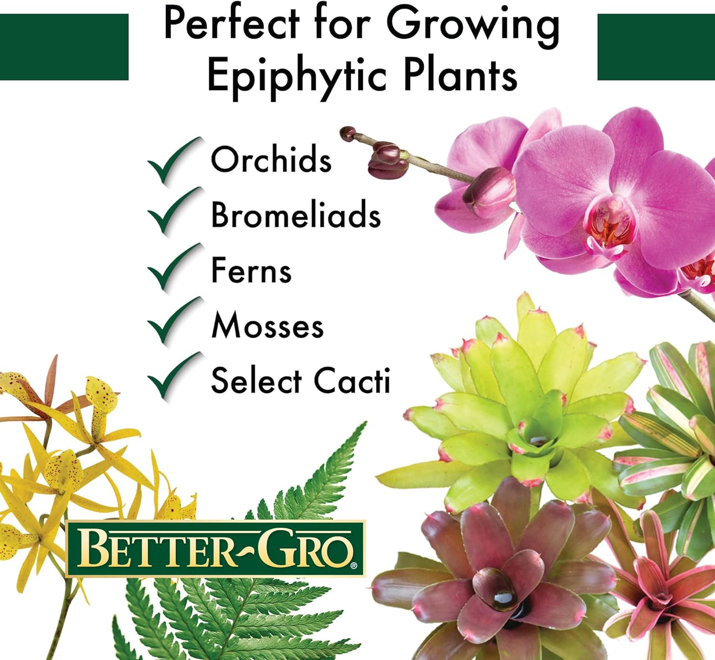 Orchid Bark - 4 Qt