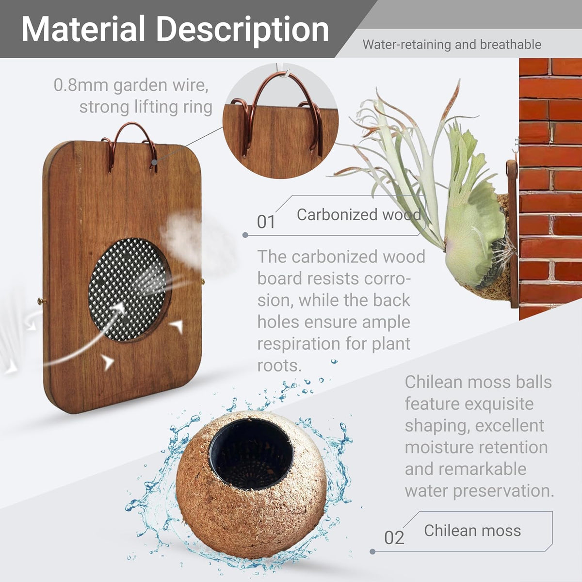 Wall Planter & Mounting Board Kit - 11 In 