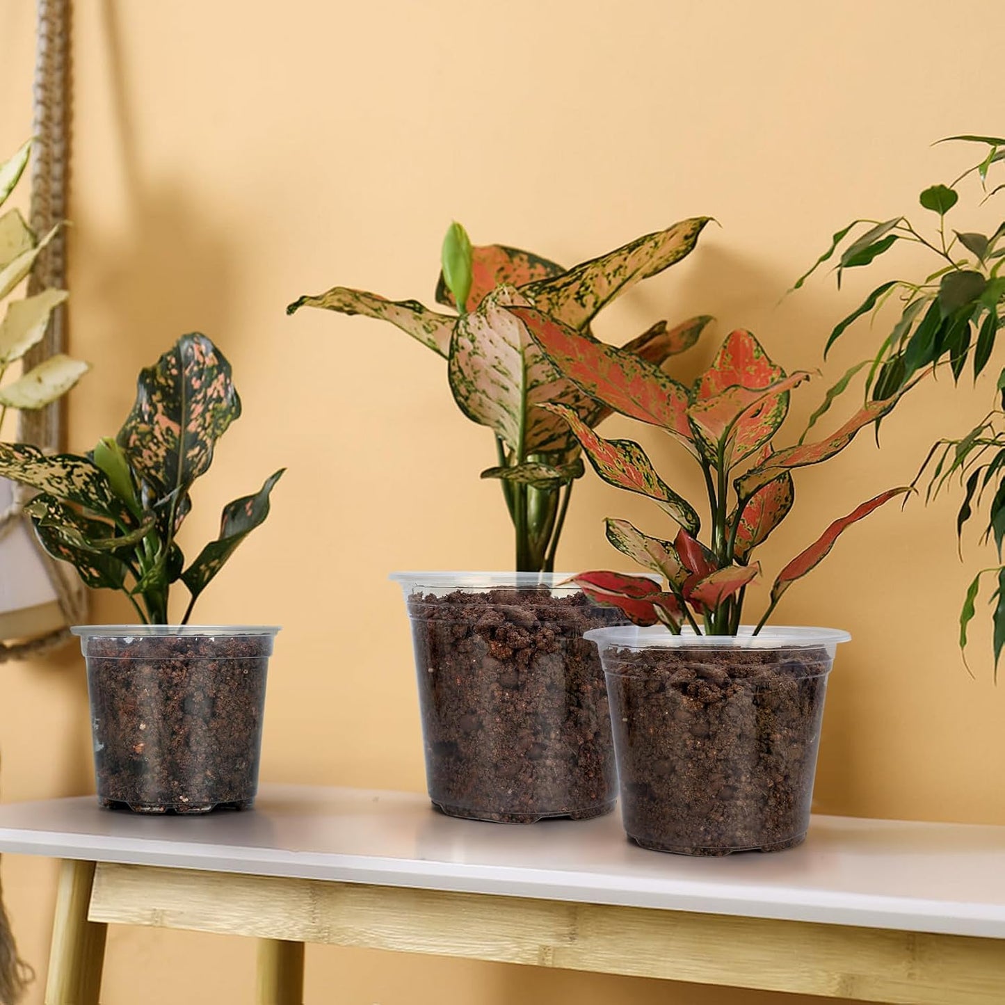 4 In Clear Nursery Pots- 15 Pack