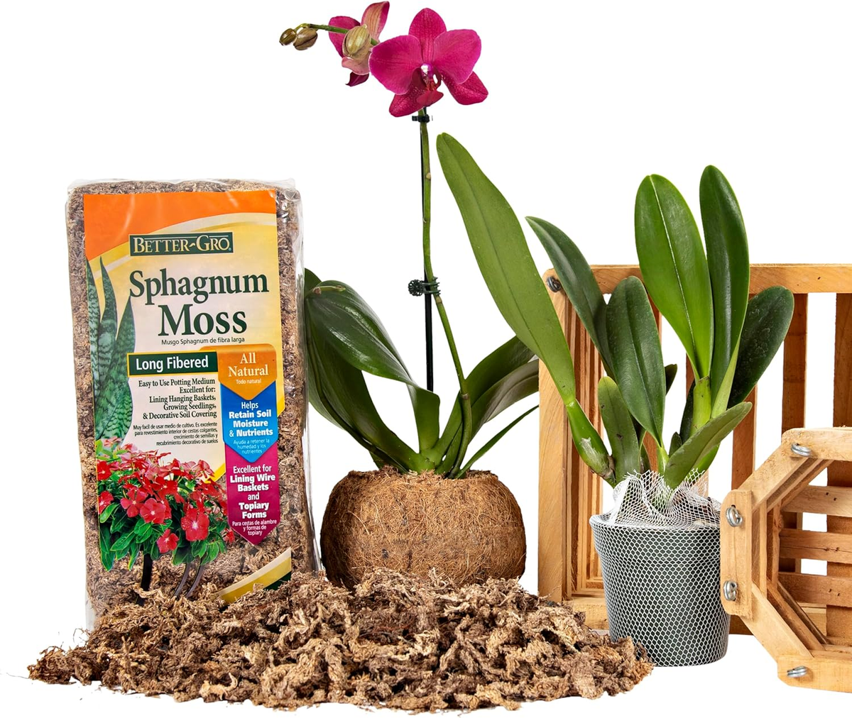 Premium Long-Fiber Sphagnum Moss (2-Pack)
