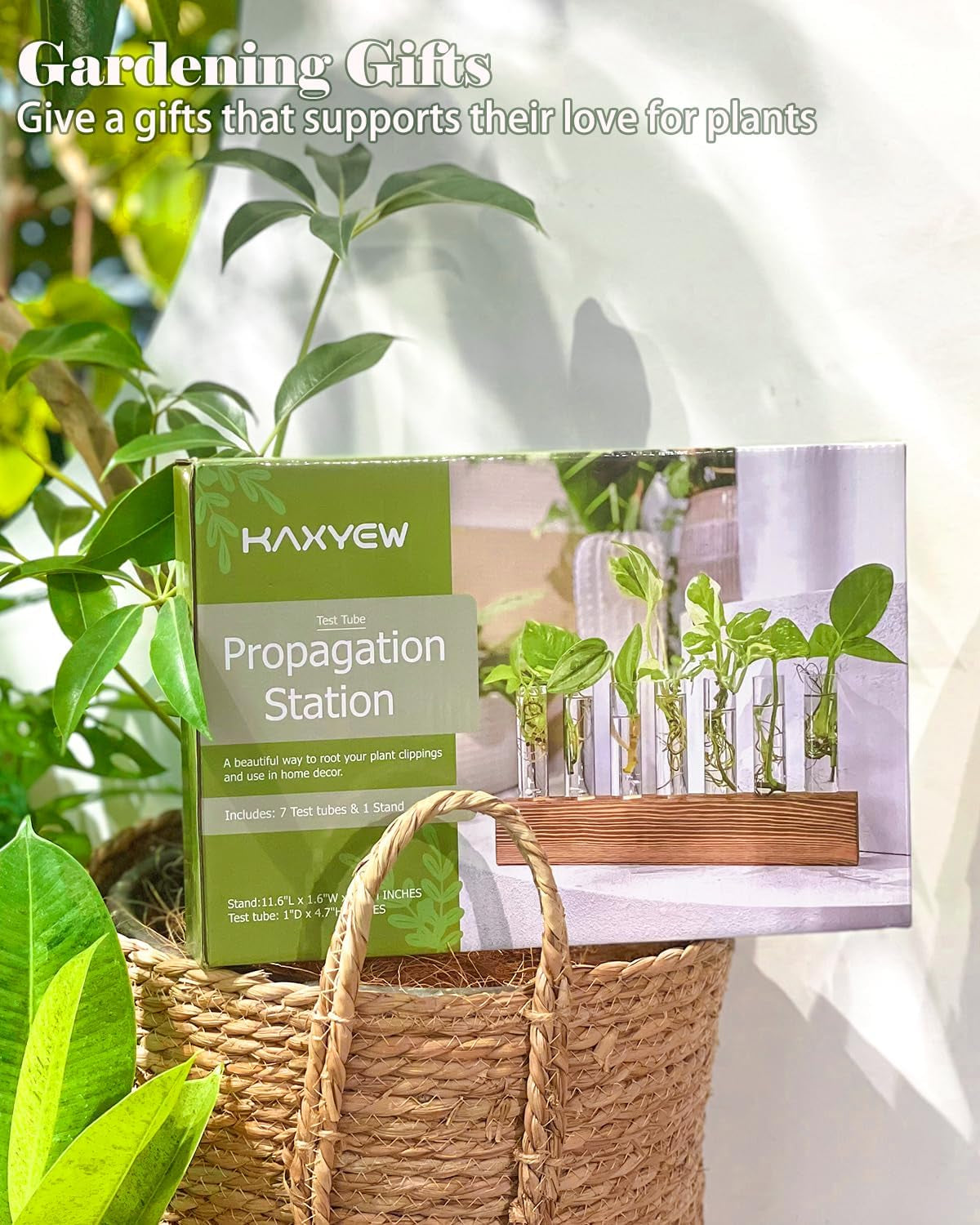 Wooden Propagation Stand