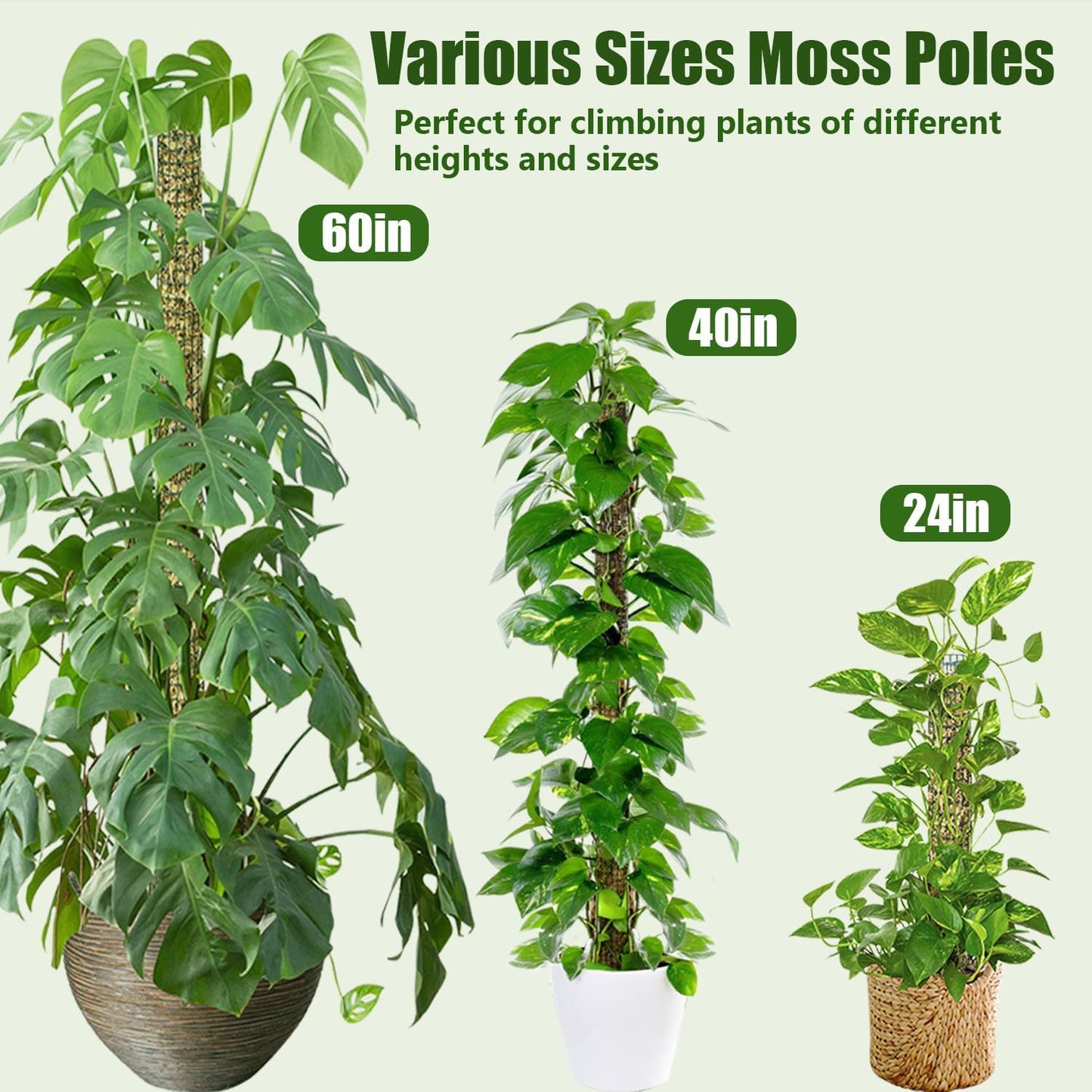 60"/40"/24" Moss Pole Kit for Plants
