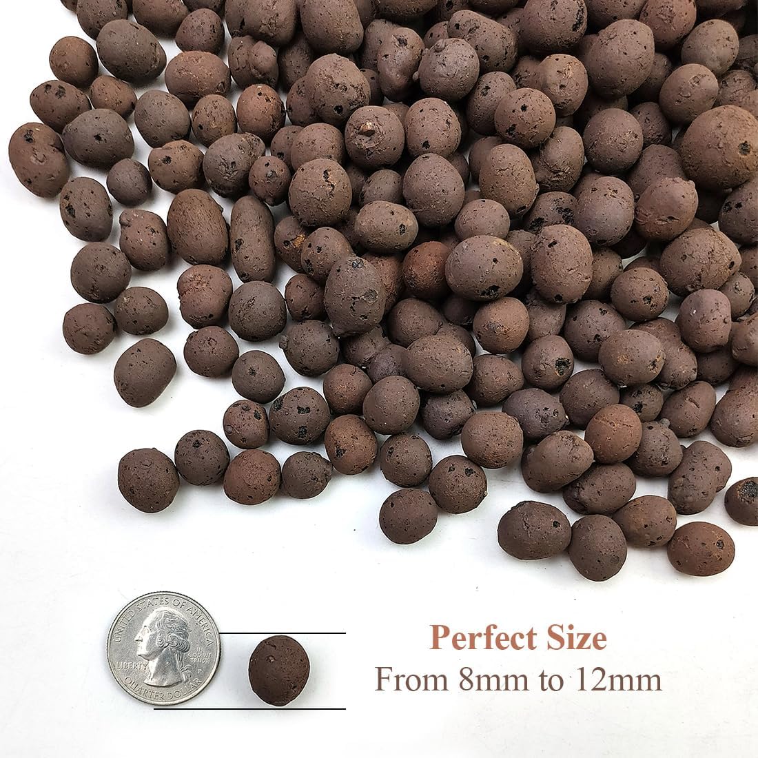 8-12 mm LECA Balls 5Lb