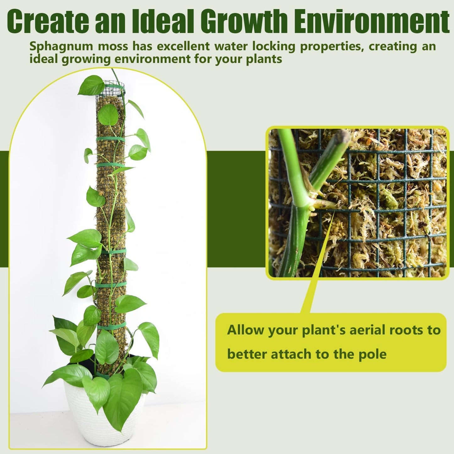 60"/40"/24" Moss Pole Kit for Plants