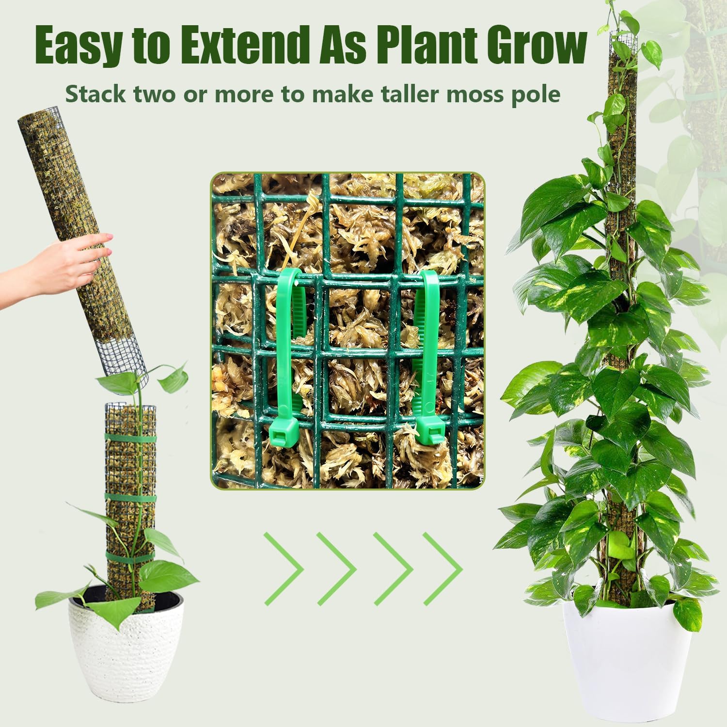 60"/40"/24" Moss Pole Kit for Plants