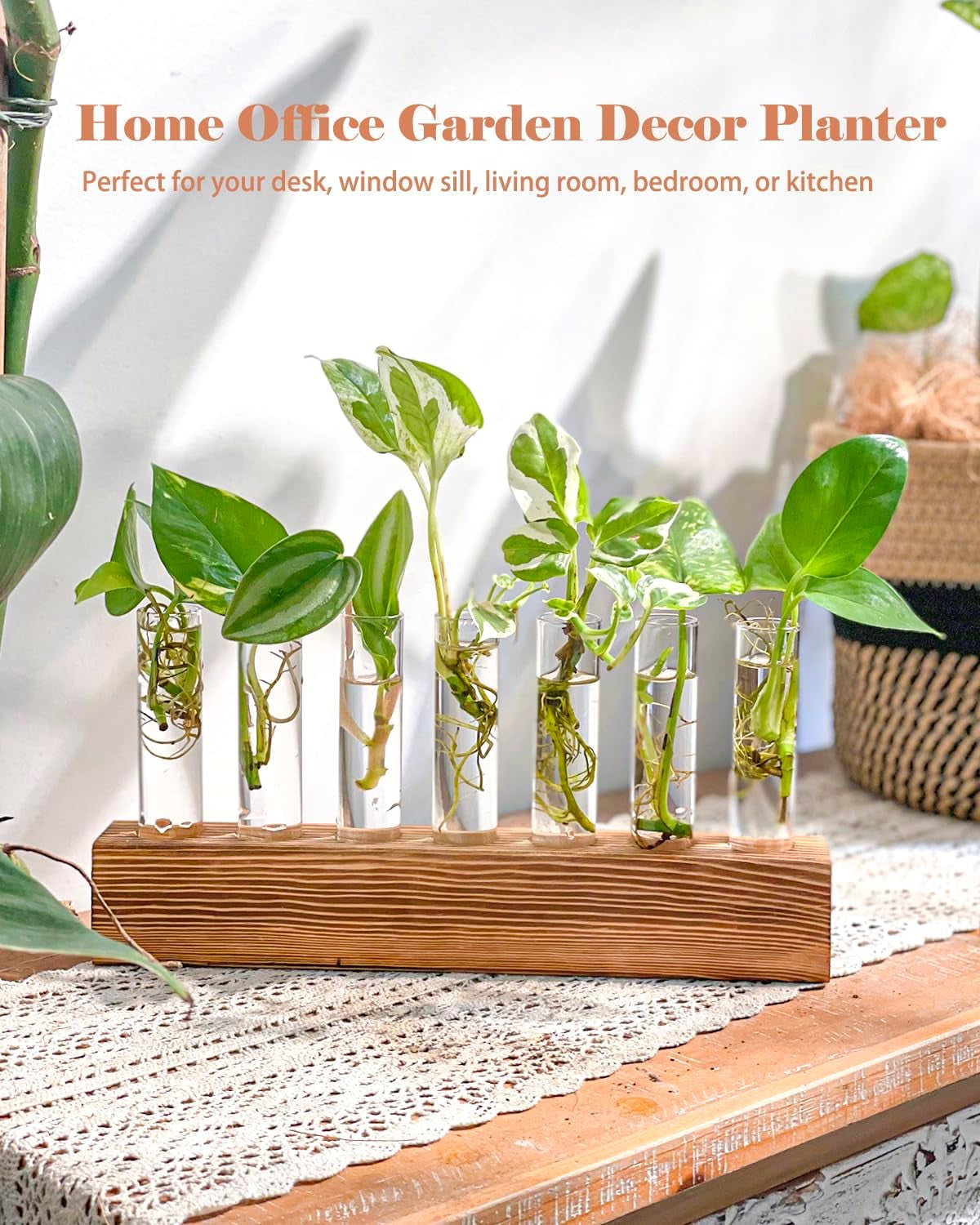 Wooden Propagation Stand