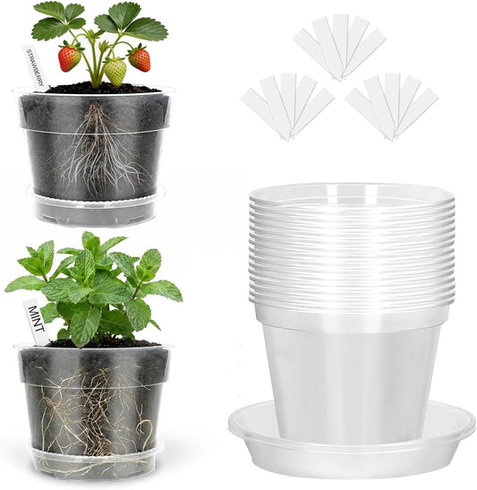 6in Clear Nursery Pots - 15 Pack