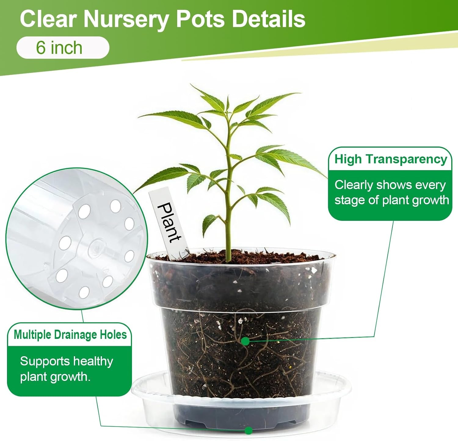 6in Clear Nursery Pots - 15 Pack