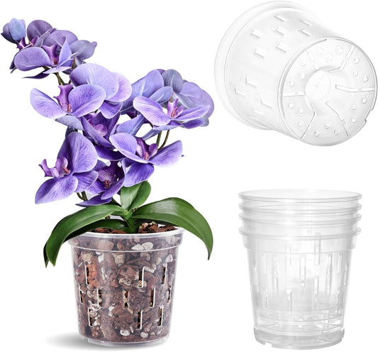 6 In Orchid Pot – 4 Pack