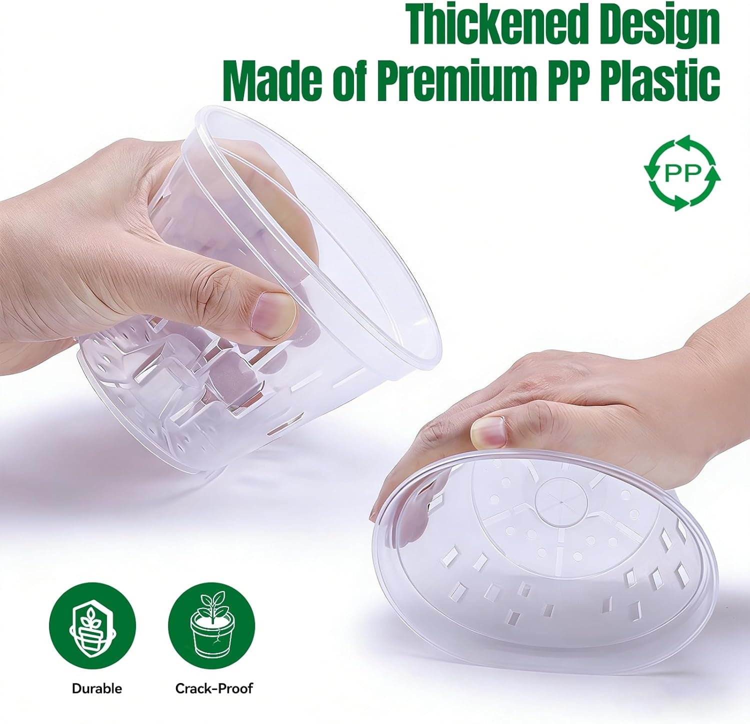 6 In Orchid Pot – 4 Pack