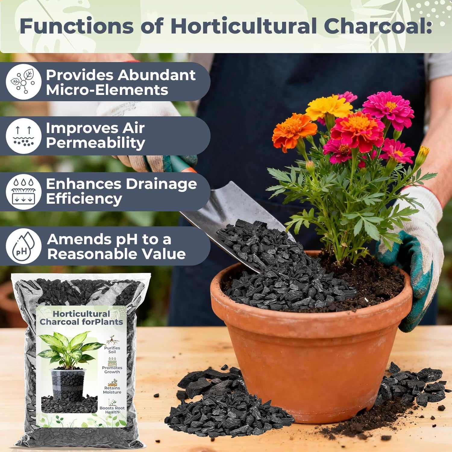 Horticultural Charcoal - 1.4 Qt