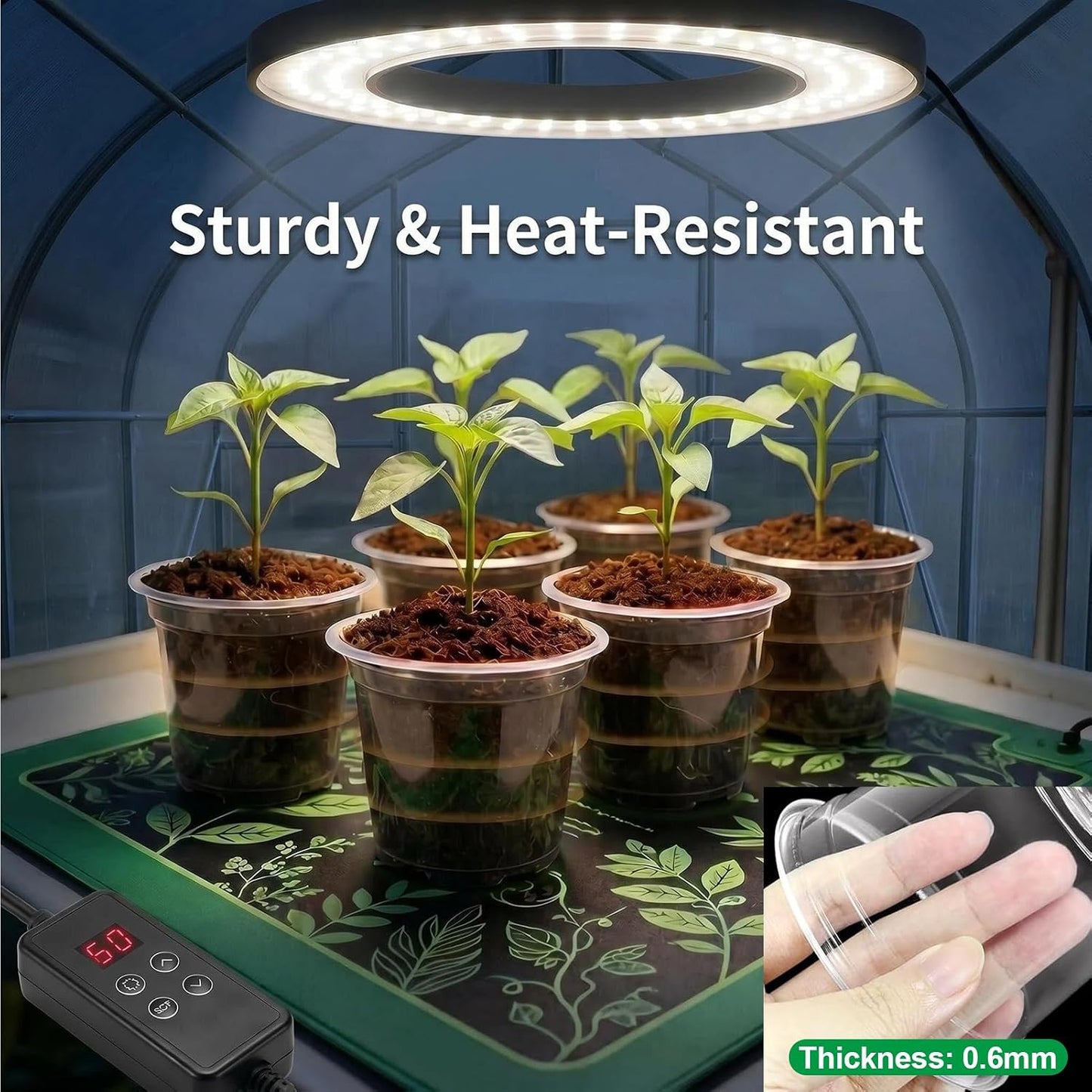 6in Clear Nursery Pots - 15 Pack
