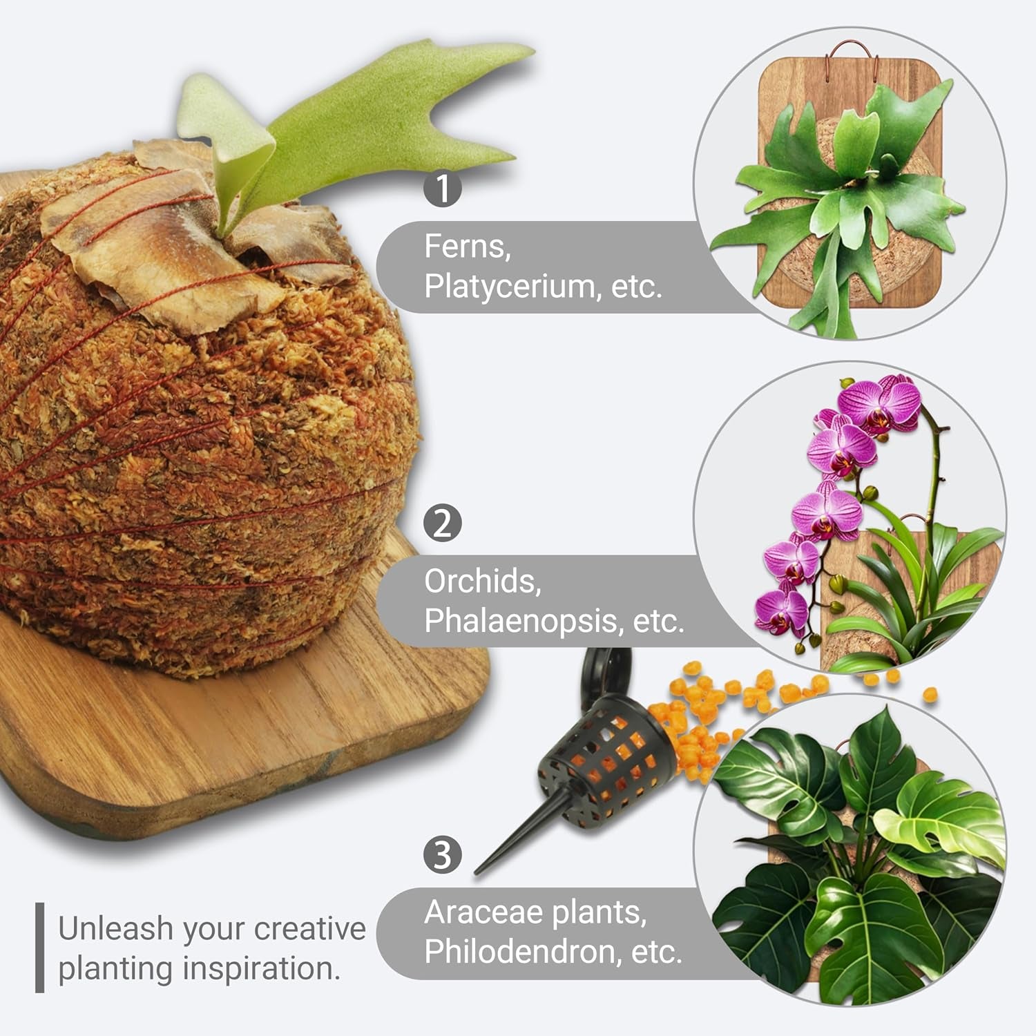 Wall Planter & Mounting Board Kit - 11 In 