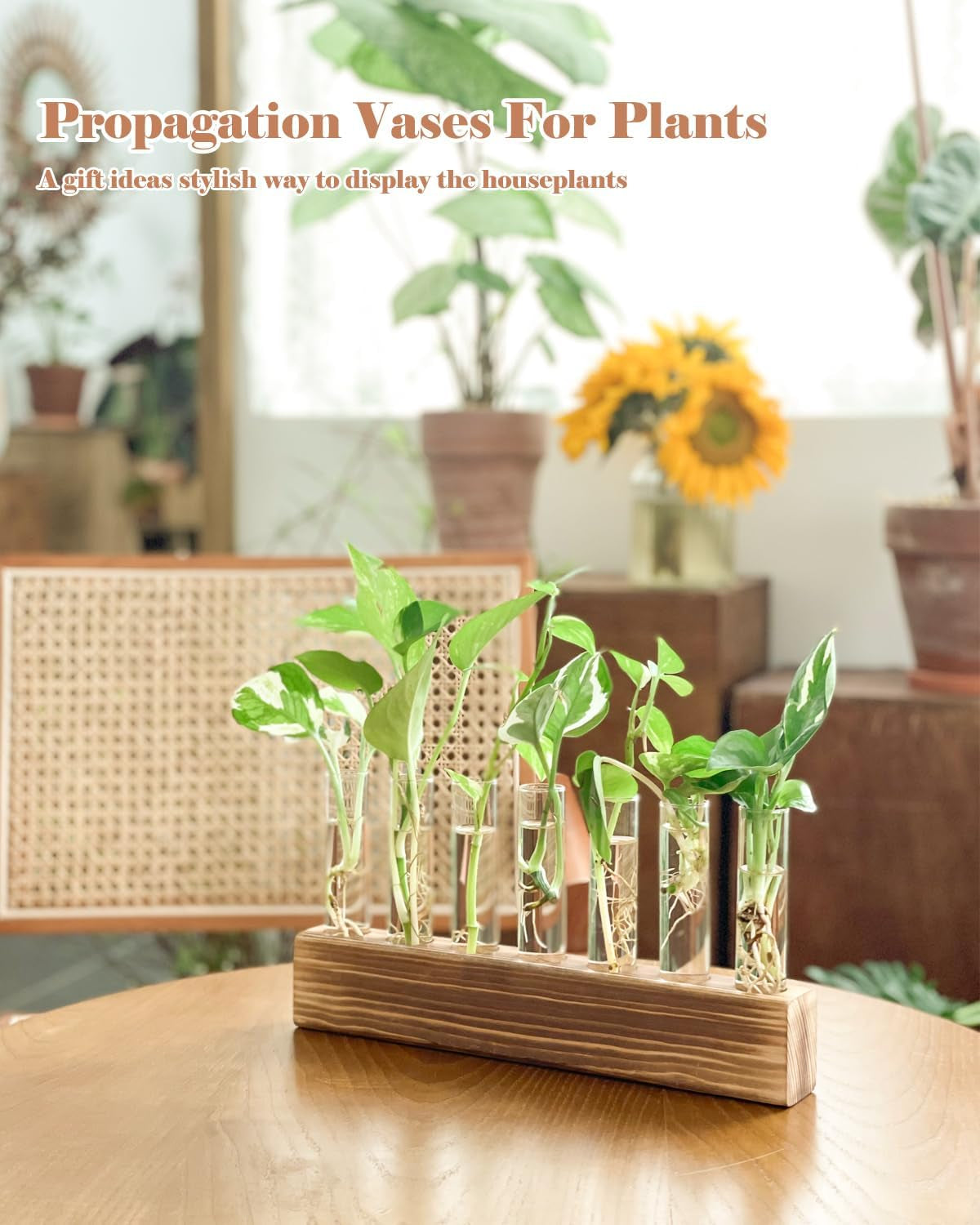 Wooden Propagation Stand