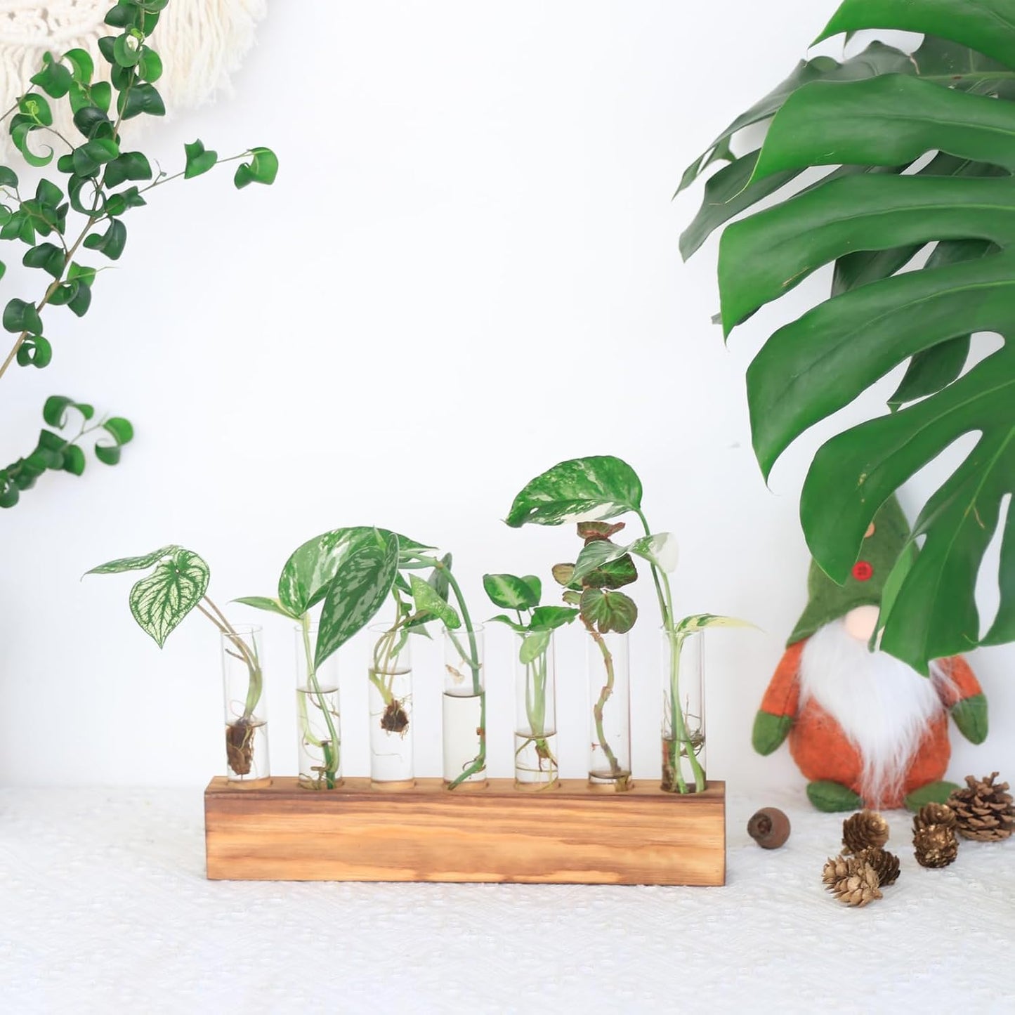 Wooden Propagation Stand