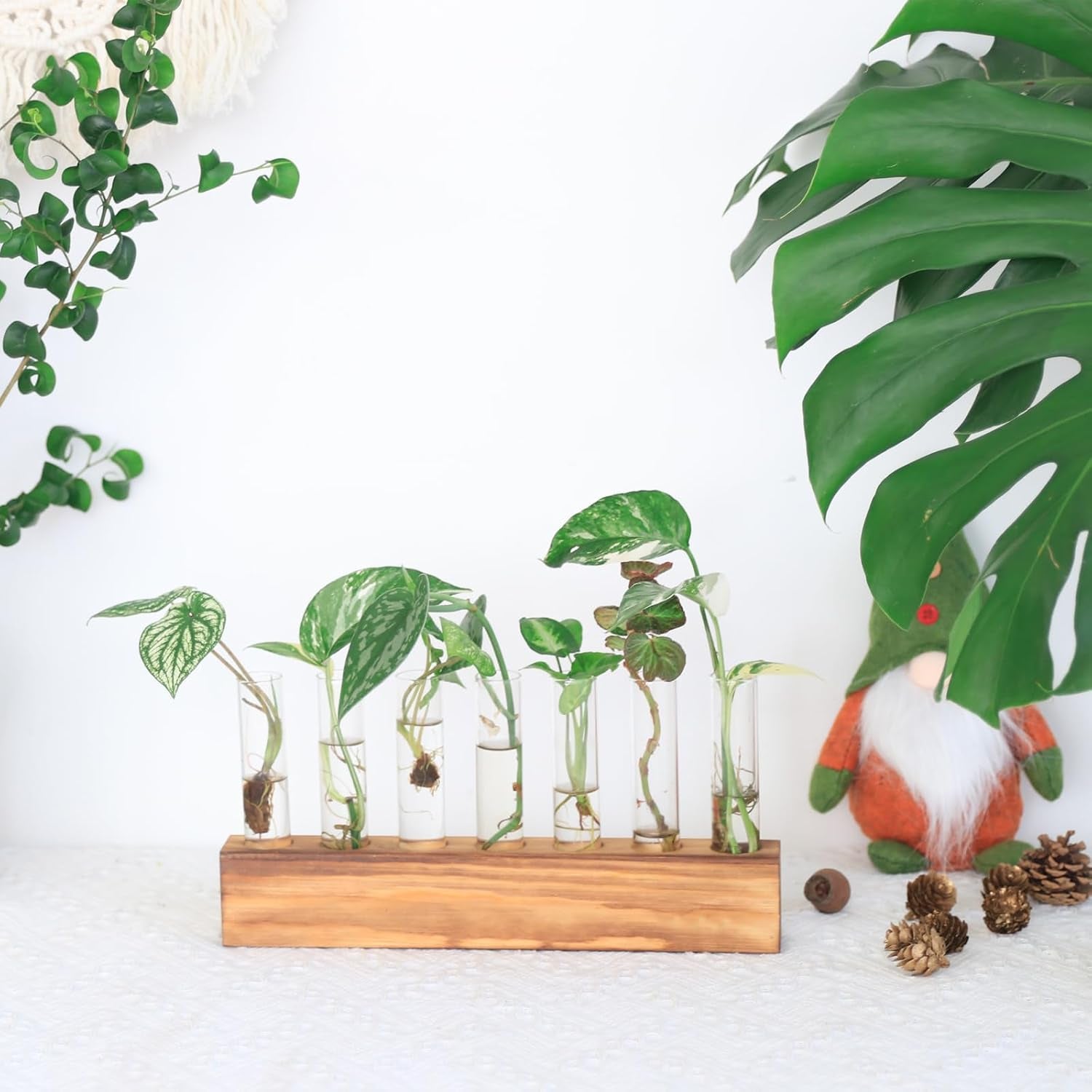 Wooden Propagation Stand