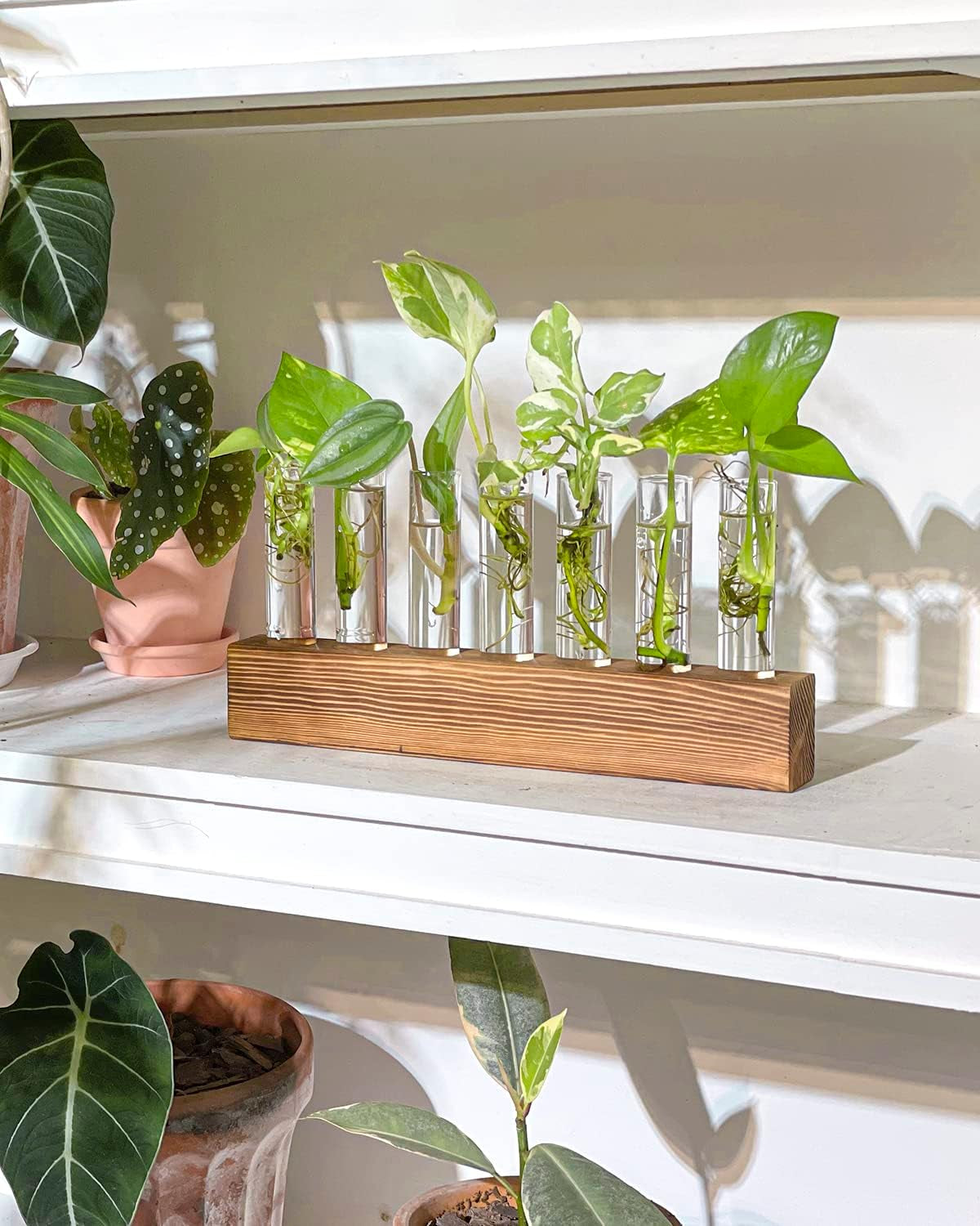 Wooden Propagation Stand
