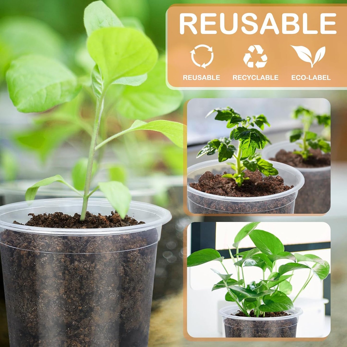 4 In Clear Nursery Pots- 15 Pack