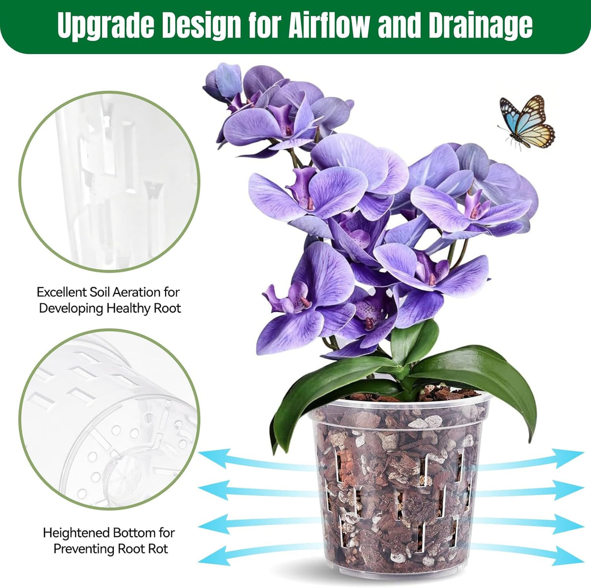 6 In Orchid Pot – 4 Pack