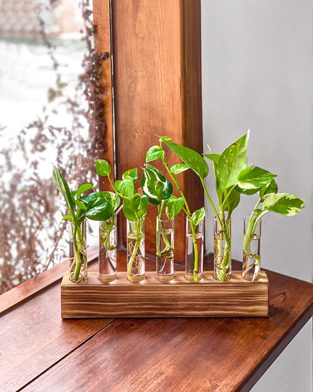Wooden Propagation Stand