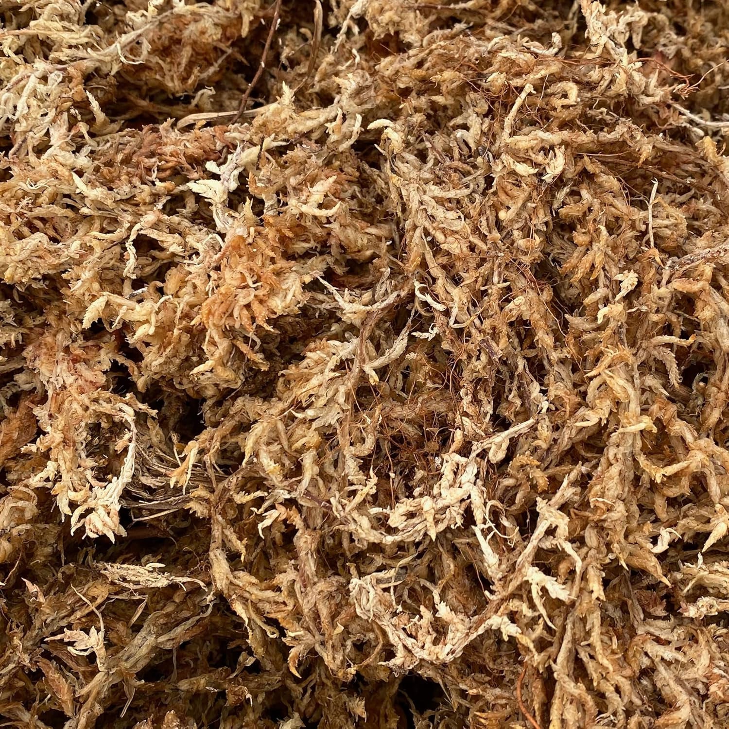 Premium Long-Fiber Sphagnum Moss