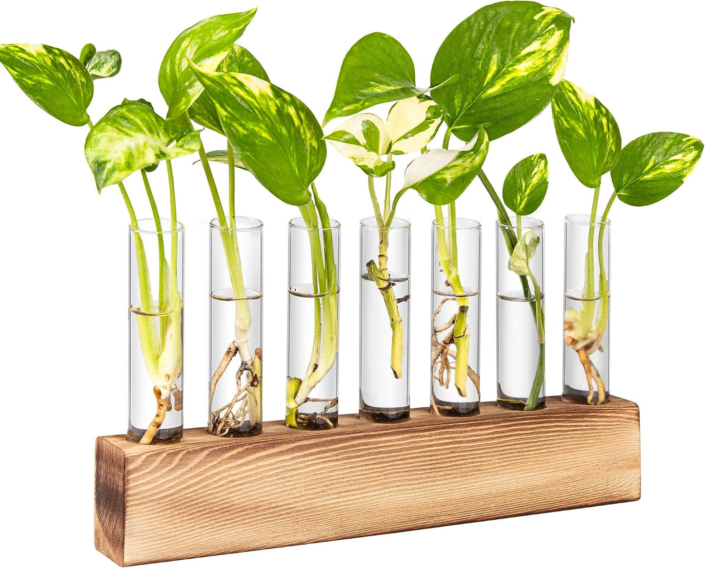 Wooden Propagation Stand