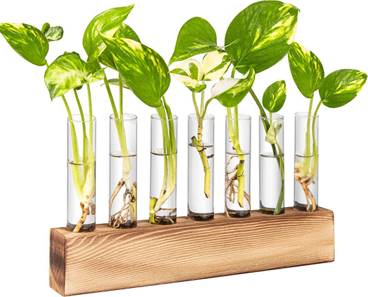 Wooden Propagation Stand